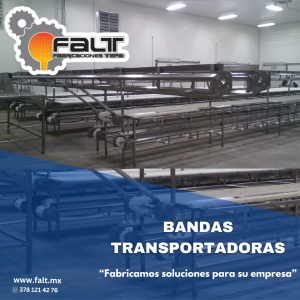 Banda transportadora