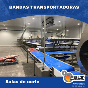 Bandas transportadoras