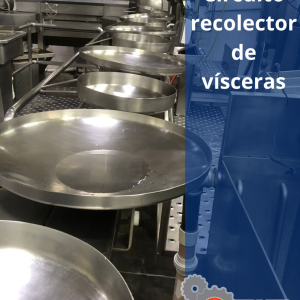 Circuito Recolector de Vísceras