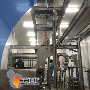 Depiladora de Cerdos