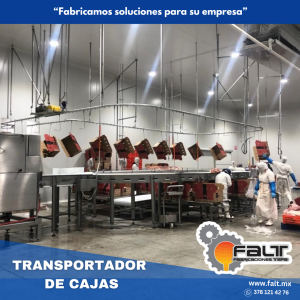 Transportador de cajas