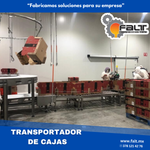 Transportador de cajas
