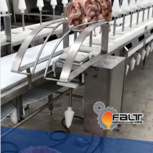 Banda transportadora para aves