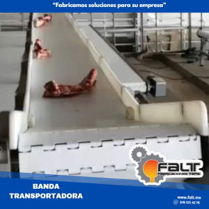 Banda transportadora