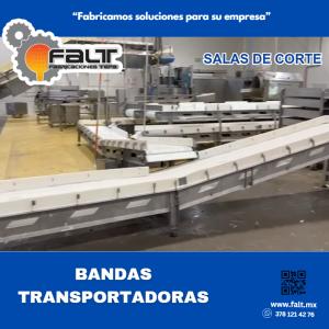 Banda transportadora